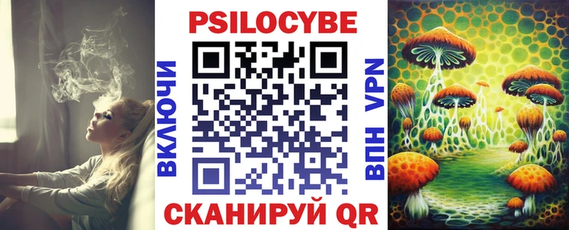 маркетплейс какой сайт  Краснообск  Псилоцибиновые грибы Cubensis 